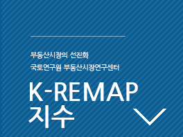 K-REMAP 지수